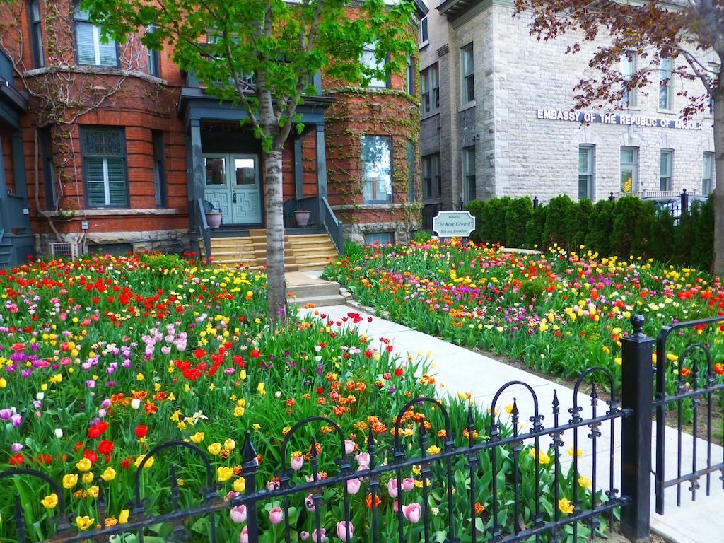 Auberge King Edward Bed And Breakfast Отава Стая снимка