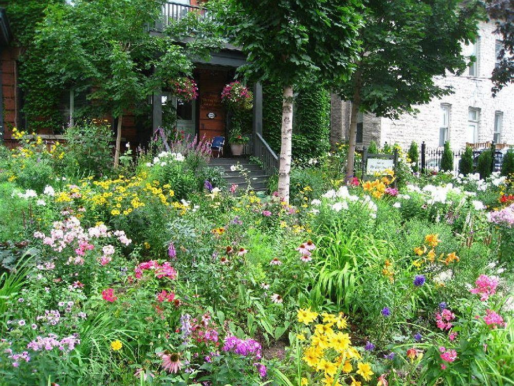 Auberge King Edward Bed And Breakfast Отава Екстериор снимка